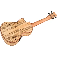 Cordoba 24T-CE Spruce Spalted Maple Cutaway Tenor Acoustic-Electric Ukulele Natural