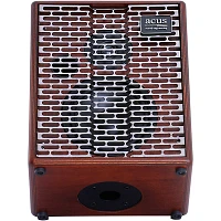 Acus Sound Engineering Acus Oneforstrings 6T Simon Combo Acoustic Amp Wood