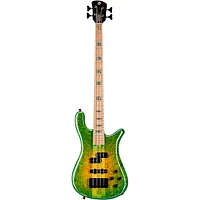 Spector NS2 Maple Burl/Wimbish Neck Green