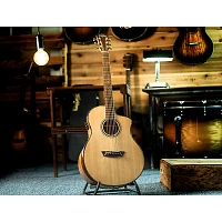 Washburn Bella Tono Allure Elite Acoustic-Electric Guitar Natural