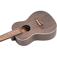 Ortega Earth Series RUCOAL-L Left-Handed Concert Ukulele Coal Black