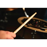 Meinl Stick & Brush Luke Holland Signature Drumsticks