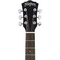 Washburn Deep Forest Ebony ACE Acoustic-Electric Guitar Natural Matte