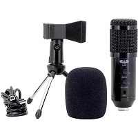 CAD U49 USB Side-Address Studio Microphone With Headphone Monitor and Echo Effects Black