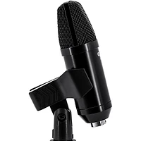 CAD U29 USB Side Address Studio Microphone Black