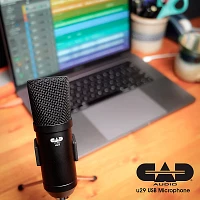 CAD U29 USB Side Address Studio Microphone Black