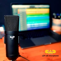 CAD U29 USB Side Address Studio Microphone Black