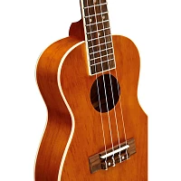 Mitchell MU40C Concert Ukulele Pack Natural