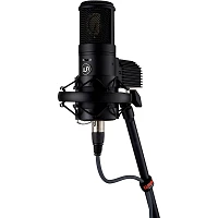 Open Box Warm Audio WA-8000 Large-Diaphragm Tube Condenser Microphone Level 1 Black