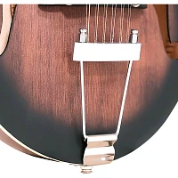 Gold Tone 12-string F-style Mando-Guitar With Pickup Tobacco Sunburst