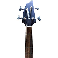 Breedlove Discovery S Concert CE European Spruce-African Mahogany Acoustic-Electric Bass Edge Burst