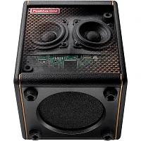 Positive Grid Spark MINI 10W Battery-Powered Stereo Combo Amp Black