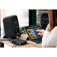 IK Multimedia iRig Pro Quattro I/O Audio/MIDI Interface Deluxe Bundle