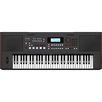 Roland E-X50 Arranger Keyboard Black