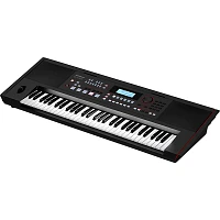 Roland E-X50 Arranger Keyboard Black