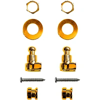 RICHTER Strap Lock Set Gold