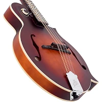 The Loar Honey Creek F-Style LM-310FE Acoustic-Electric Mandolin Brownburst Brownburst