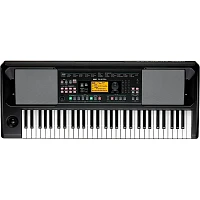 KORG EK-50 CSA 61-Key Arranger Keyboard