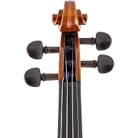 Scherl and Roth SR61 Sarabande Series Intermediate Violin Outfit 4/4