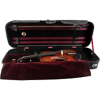 Scherl and Roth SR71 Series Professional Violin Outfit 4/4