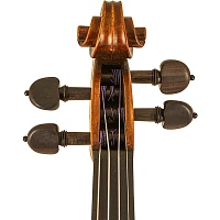 Scherl and Roth SR81 Stradivarius Series Professional Violin Outfit 4/4