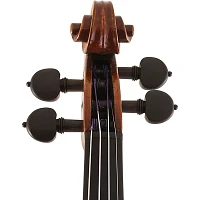 Scherl and Roth SR71 Series Professional Violin 4/4