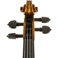 Scherl and Roth SR81G Guarneri Series Professional Violin Outfit 4/4