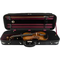 Scherl and Roth SR81G Guarneri Series Professional Violin Outfit 4/4