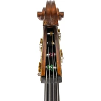 Scherl and Roth SR68 Sarabande Series Intermediate Double Bass Outfit 3/4