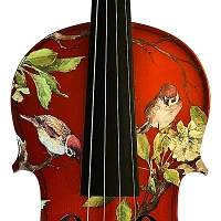 Rozanna's Violins Bird Song Series Violin Outfit 4/4