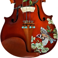 Rozanna's Violins Bird Song Series Violin Outfit 4/4