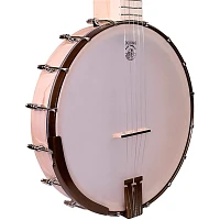 Deering Goodtime Americana Deco 5-String Openback Banjo