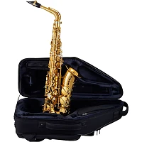 Selmer Paris Signature Series Lacquer Alto Saxophone Gold Lacquer