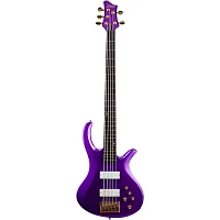 Schecter Guitar Research FreeZesicle-5 5-String Electric Bass Freeze Purple