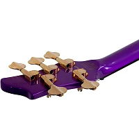 Schecter Guitar Research FreeZesicle-5 5-String Electric Bass Freeze Purple