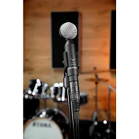 beyerdynamic M 130 Dynamic Double-Ribbon Microphone (Figure-Eight)