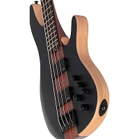 Schecter Guitar Research Charles Berthoud CB-4 Electric Bass See Thru Black Satin