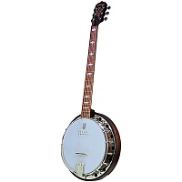 Deering Artisan Goodtime Six-R 6-String Acoustic-Electric Resonator Banjo