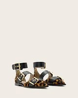 Sutton Leopard Print Pointed Toe Shoes
