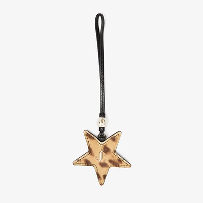 Star Charm