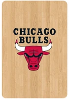 Chicago Bulls Wordmark PVC Magnet