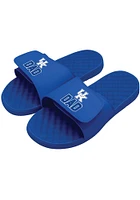 Kentucky Wildcats Dad Mens Slides