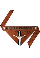 Texas Longhorns Reversible Pet Bandana