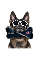 Columbus Blue Jackets Tug Bone Pet Toy