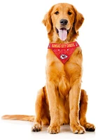 Kansas City Chiefs Reversible Pet Bandana