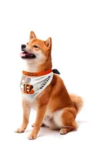 Cincinnati Bengals Home and Away Pet Bandana