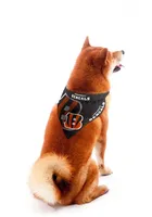 Cincinnati Bengals Home and Away Pet Bandana