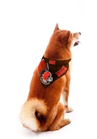 Cleveland Browns Home and Away Pet Bandana