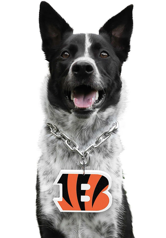 Cincinnati Bengals Fan Pet Accessory