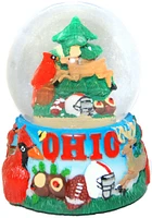 Ohio 45mm Collage Water Globe